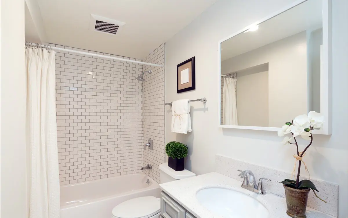Affordable bathroom renovation built to a durable minimum specification with one considered feature material