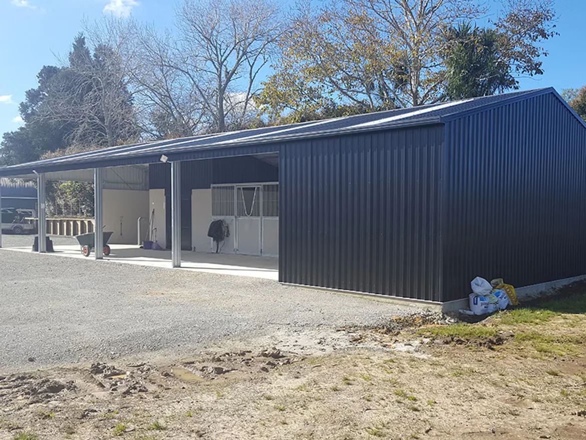 Timber storage shed constructed for an Auckland backyard